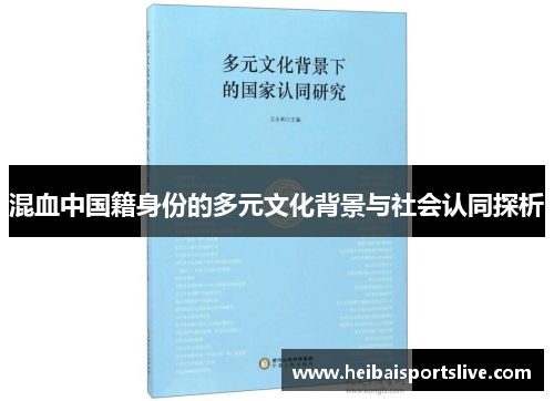 混血中国籍身份的多元文化背景与社会认同探析